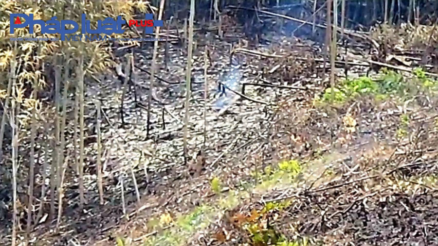 z4397430436386_b854e9f5b2f54ea2f555034b21e7361d-0949