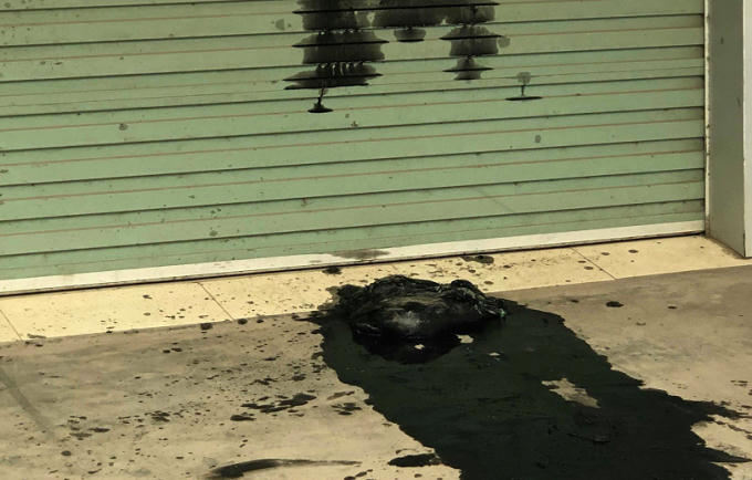 Hiện trường nươi xảy ra sự việc.