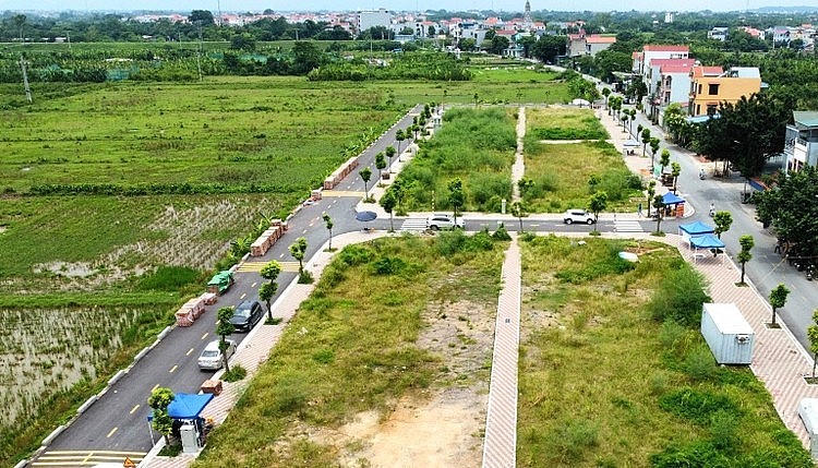 Năm 2024 sắp khép lại với nhiều phiên đấu giá đất gây xôn xao thị trường bất động sản. (Ảnh: Hồng Khanh).