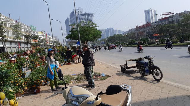 Để đảm bảo giao hàng đúng thời điểm, những chủ vườn cây cảnh lớn tự bỏ ra từ 1 - 2 triệu đồng bao thợ chở tại cửa hàng. Yêu cầu của họ là thợ chuyên chở phải có mặt ngay khi chủ yêu cầu và giao hàng đúng nơi cho khách hàng. 