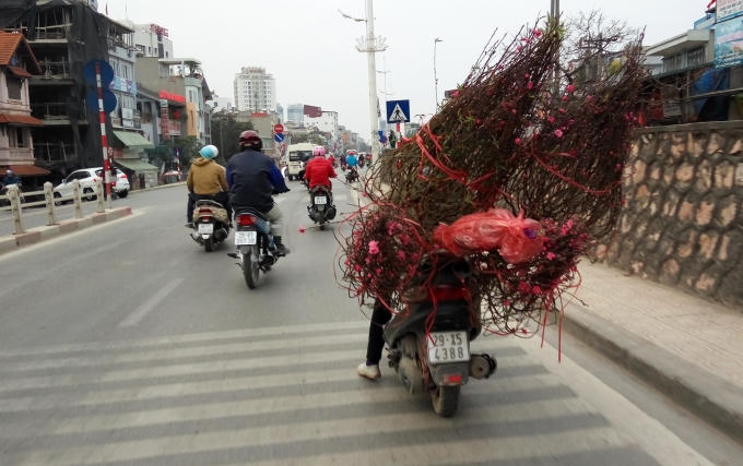 Vận chuyển đến các điểm bán.
