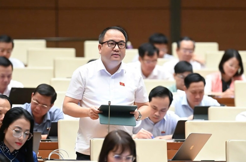 Đại biểu Phạm Trọng Nghĩa.