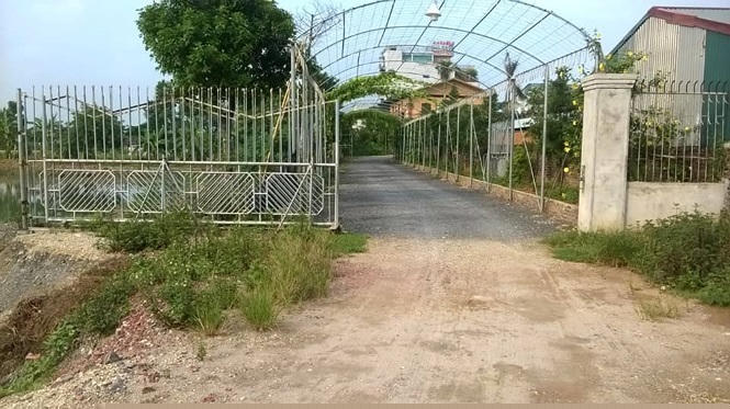 UBND huyện Yên Mô đang xây dựng phương án xử lý theo Luật đất đai. Những vi phạm mới về đất nông nghiệp: đào ao, xây kè sẽ được UBND xã Mai Sơn tập chung xử lý.