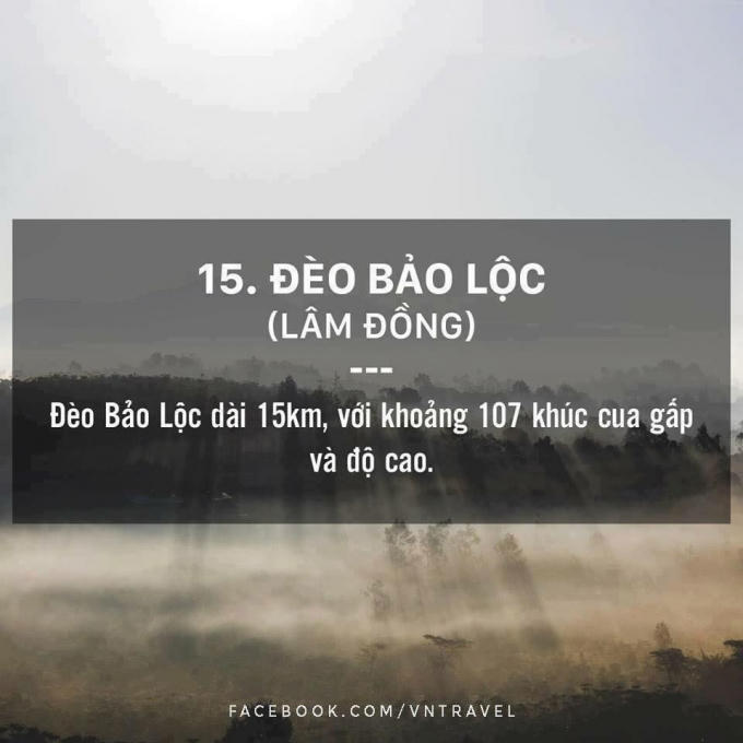 Top 18 con đ&egrave;o n&ecirc;n chinh phục ở Việt Nam