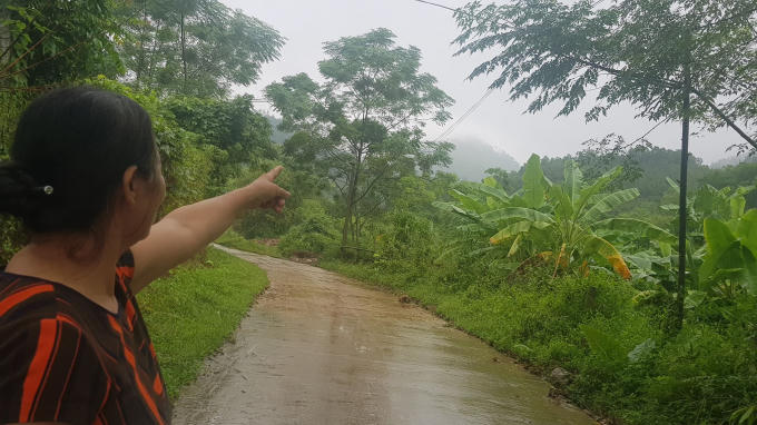 Theo những người dân địa phương thì khu vực rừng khai thác gỗ thuộc xã Cù Vân, huyện Đại Từ.