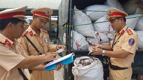 Lực lượng chức năng kiểm tra số mực khô "hết đát".