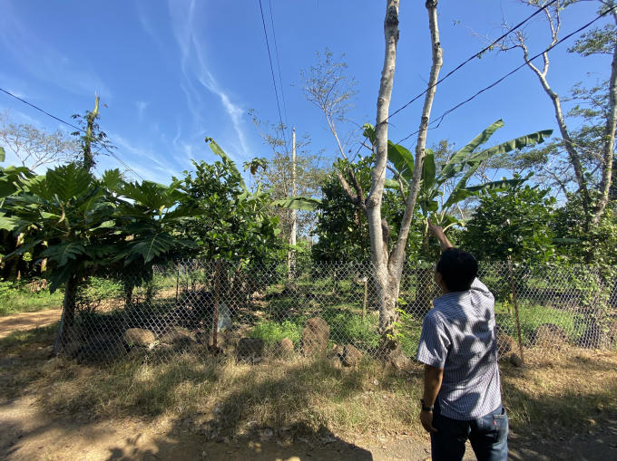 Những đường điện “tự phát” của người dân dù đã tồn tại hệ thống đường điện trung thế nhiều năm.