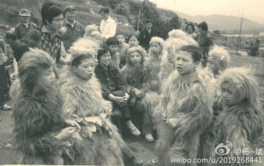 Bầy khỉ con lộ mặt thật trước ống kính. Ảnh: internet.