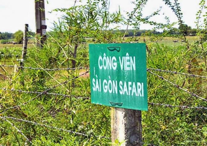 safari