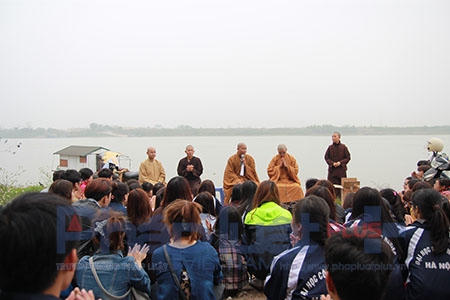 Ngay từ chiều, các phật tử đã sớm chuyển các sinh vật nước như cá chép, các trê, lươn, ốc, hến,… và cùng bày biện các thực chay trên phà.