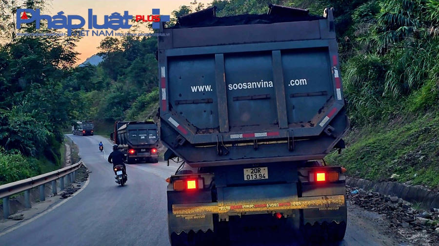 z4805866655228_b01993aa84ef1e23d45c4f83aa026d29