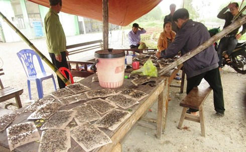 Chỉ sau cuộc gặp với Bí thư Tỉnh ủy Lê Đình Sơn thì sự việc dân mang ruồi, bàn ghế dựng rạp chặn cổng nhà máy rác mới được tháo gỡ..