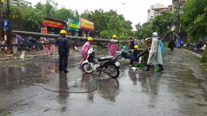 Nhiều cây lớn và cột điện "ngã nhoài" sau cơn bão trên phố Võ Thị Sáu. Ảnh Huy Trung