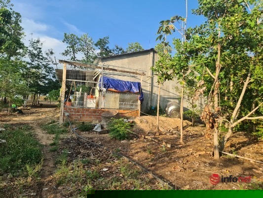 Rất nhiều diện tích đã được người dân tạo lập tài sản như nhà cửa kiên cố, cây trồng lâu năm…