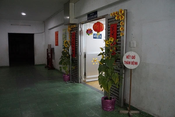 Những khoa trong bệnh viện luôn rực rỡ sắc hoa xuân.