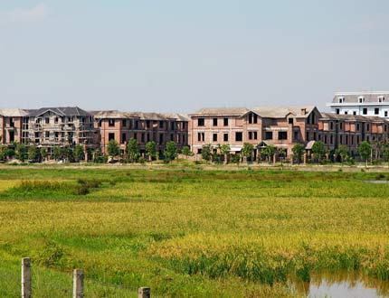 Thủ tướng Chính phủ đồng ý cho việc chuyển mục đích sử dụng đất từ đất trồng lúa sang đất phi nông nghiệp.