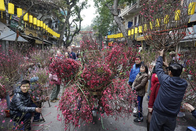 Chợ hoa khu phố Hàng Lược đỏ rực sắc đào những ngày cận Tết. Người bán đông, khách tham quan, mua sắm lại càng đông, trong khi những chuyến xe chở hoa nối đuôi nhau đổ về chợ.