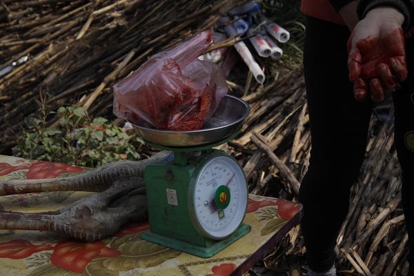 Chưa làm thịt xong đã có đông người đến mua với giá 300 nghìn đồng/kg.