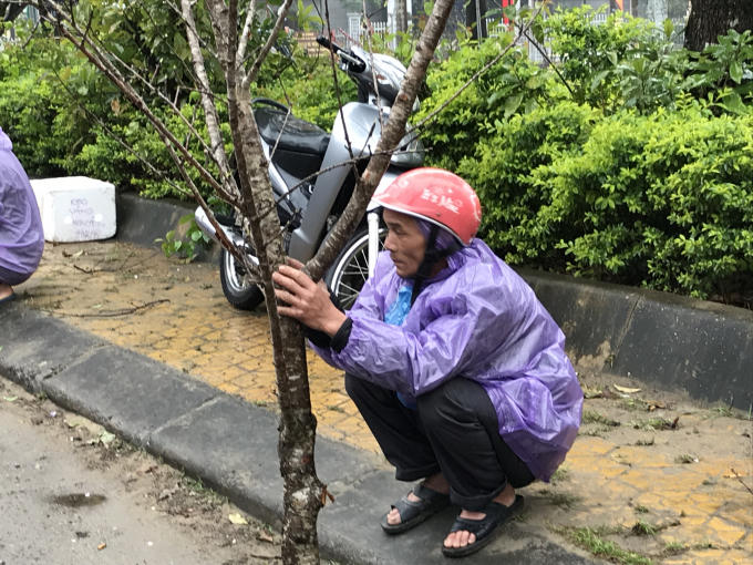 Người dân co ro trong mưa chờ bán đào tết.