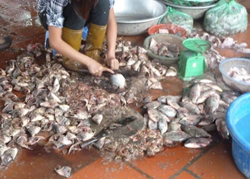 ...m&agrave; nguy&ecirc;n liệu c&oacute; thể được chế biến như thế n&agrave;y.