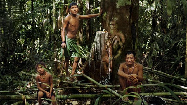Các thành viên trong bộ tộc Pirahã sống biệt lập với thế giới bên ngoài và sinh tồn bằng cách săn bắn, hái lượm. Họ có thể nhớ tên gọi và đặc điểm của hàng nghìn loài động thực vật. Người Pirahã sống trong những túp lều đơn sơ, chỉ có vài dụng cụ nấu nướng cơ bản và không lưu trữ thực phẩm.
