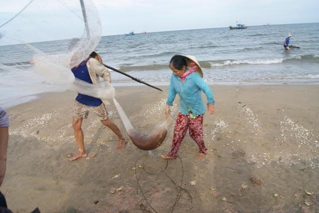 Từ đầu mùa đến nay, ngư dân huyện Quảng Trạch đã đánh bắt đươc gần 50 tấn ruốc biển.