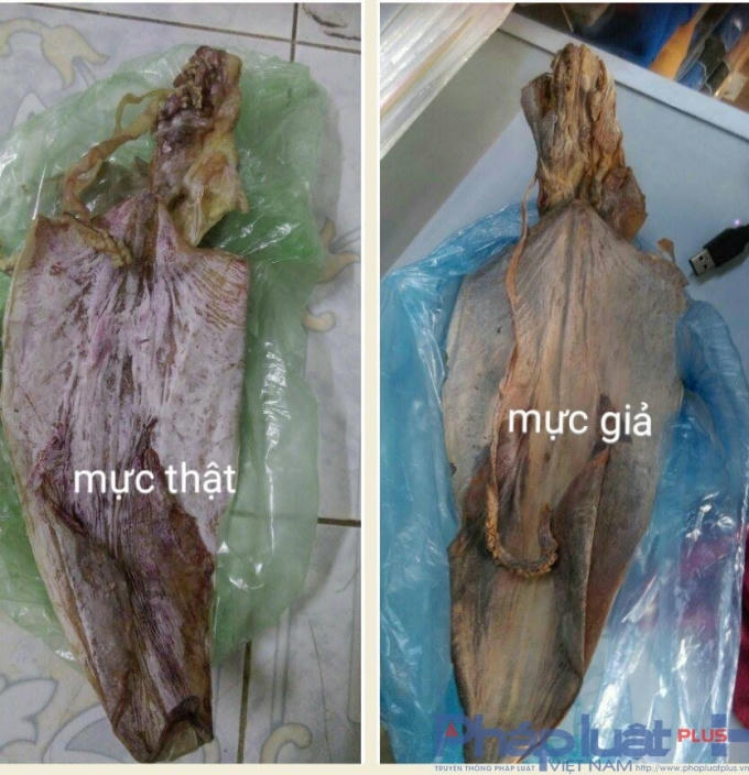 2 con mực PV mua tại một cửa hàng ở chợ Thành Công. Cùng trọng lượng, mực giả có giá 36.000 đồng/con, mực thật giá 120.000 đồng/ con. (Ảnh: Thu Hường)