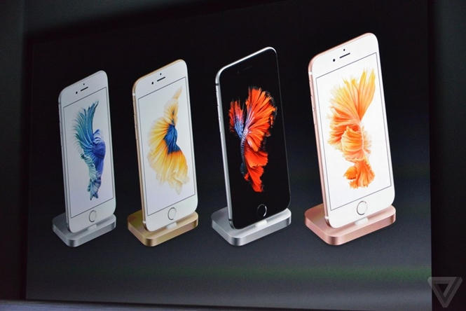 Hai sản phẩm iPhone tiếp theo được ra mắt vào ngày 9/9/2014. iPhone 6 có kích thước màn hình 4,7 inch và dày 6,9 mm. Trong khi đó iPhone 6 Plus sử dụng màn hình 5,5 inch và dày 7,1 mm.