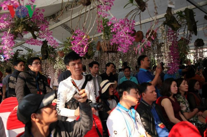 Với chủ đề "Hương sắc Lai Châu" triển lãm hoa lan đã thu hút hàng chục câu lạc bộ lan trong cả nước tham gia.