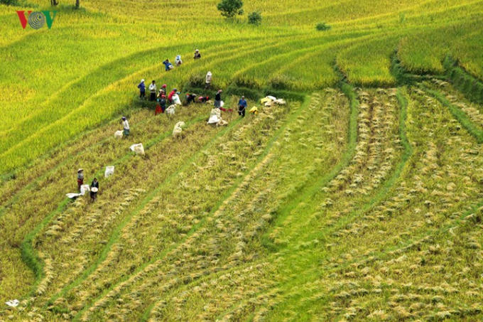 Dưới bàn tay lao động cần cù của người dân, các sườn núi đã biến thành những thửa ruộng bậc thang.