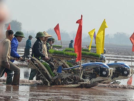 Lãnh đạo Hà Nội và bà con nông dân ngoại thành cùng xuống đồng sau Tết nguyên đán.