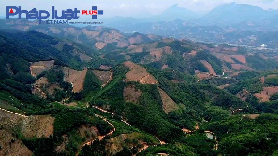 z4400802626761_aa63dede58e97f20acdf629b785b9b2c-1303