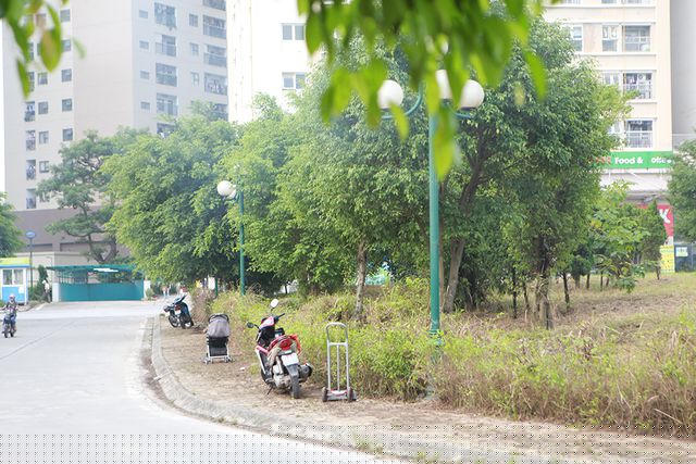 Một diện mạo mới sạch sẽ gọn gàng, không còn cảnh rậm rạp um tùm như trước.