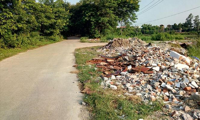 Thành, hào ở Cổ Loa đang bị xâm phạm nghiêm trọng. Ảnh: NGUYÊN KHÁNH