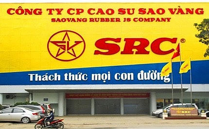 Kê khai sai về thuế Công ty Cổ phần Cao su Sao Vàng bị xử phạt.