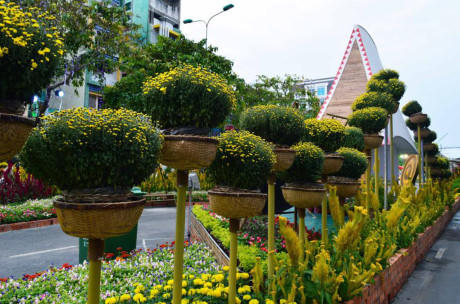 Đường hoa được bố trí với khoảng 80.000 giỏ hoa các loại, kết hợp với hơn 100 mô hình, tiểu cảnh.