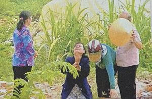 Vợ ông Hoa quỳ lạy lực lượng cưỡng chế (Hình cắt từ clip)