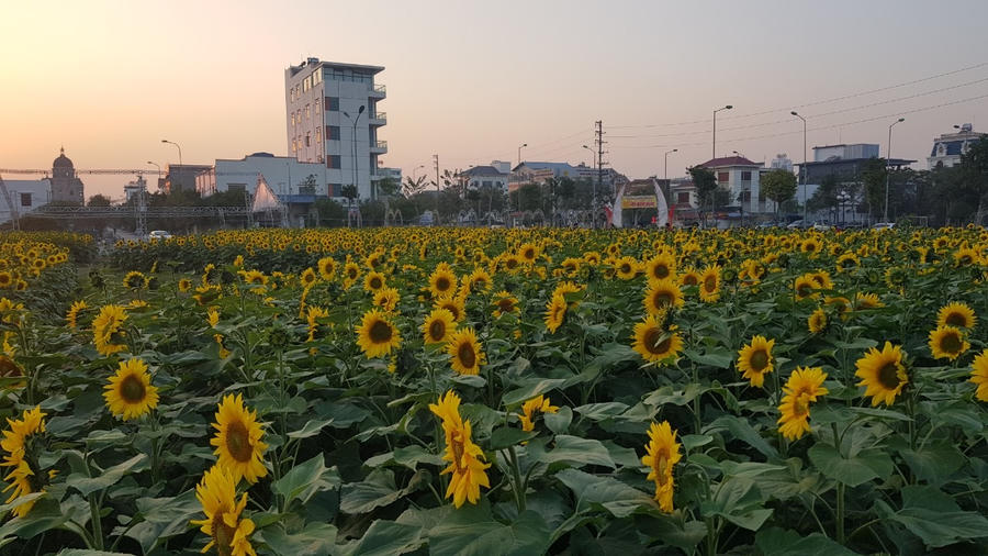 D0F95A17-1A43-41A1-BAB1-CB97B321A13A.