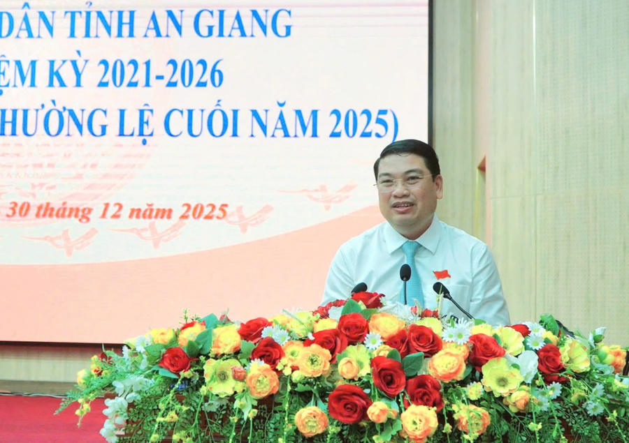 Phó Chủ tịch UBND tỉnh Lê Trung Hồ phát biểu tại phiên họp.