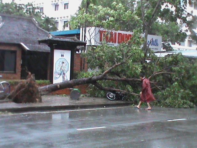 Một hình ảnh sau bão tại Huế vào năm 2013.