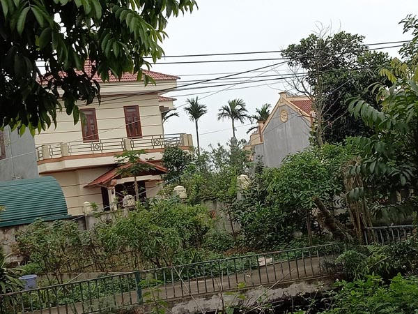 Khu đất có 250m2 đất ở và 612m2 đất nông nghiệp đứng tên bố mẹ đẻ đương kim Bí thư Huyện ủy Quảng Xương. Ảnh: VT.