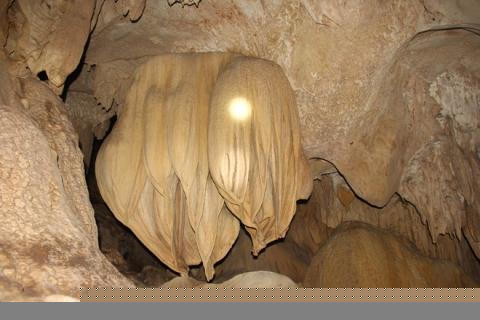 Phat hien hang dong lon o Quang Tri: Dung voi quang ba