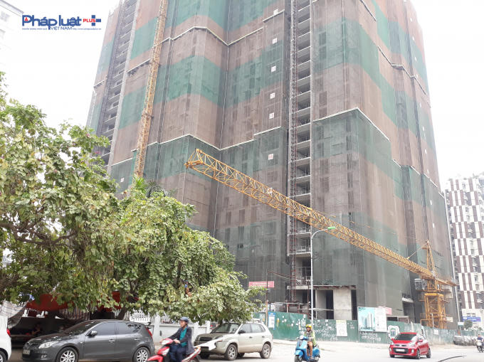 Cần trục tháp tại cổng dự án.