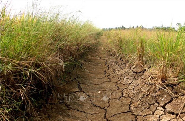 Chấp thuận chuyển mục đích sử dụng đất tại tỉnh Long An