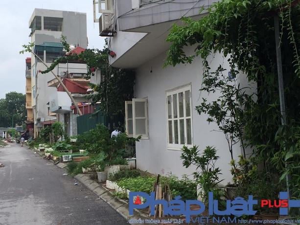 Vỉa hè biến thành nơi trồng rau sạch