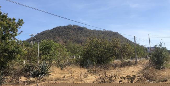 Một thời gian ngắn sau,