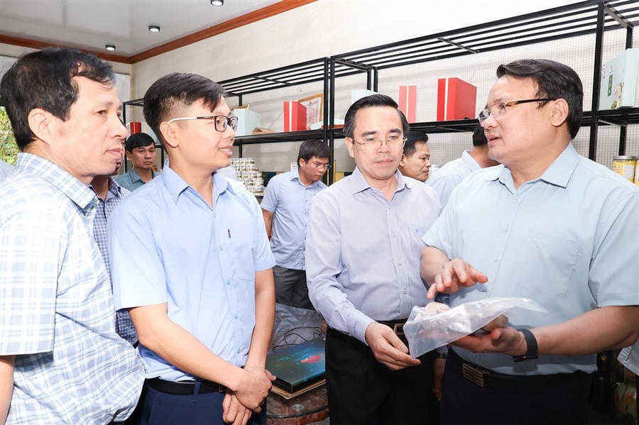 Các đại biểu tham quan và nghe giới thiệu về các sản phẩm của HTX sen quê Bác tại xã Kim Liên (Nam Đàn - Nghệ An).