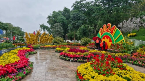 Nhiều loài hoa đẹp được bố trí hợp lý, nghệ thuật.