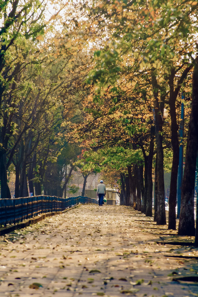 Một góc phố bình dị...