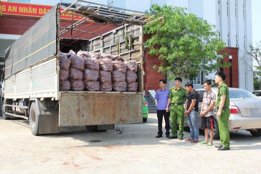 Xe ôtô tải các đối tượng sử dụng để vận chuyển 1,4 tấn pháo hoa nổ đi tiêu thụ. Ảnh CANA